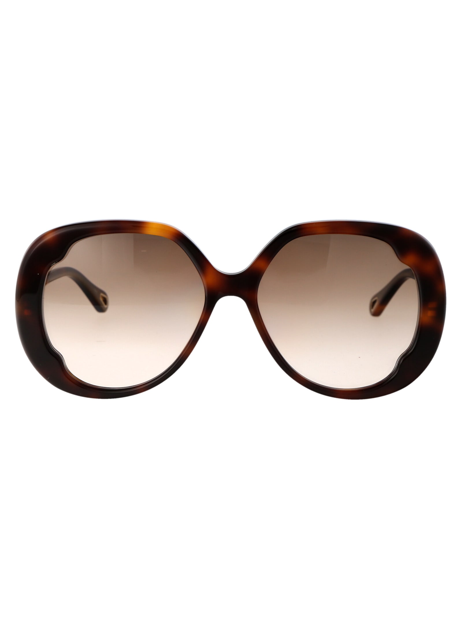 Chloé Eyewear Ch0195s Sunglasses