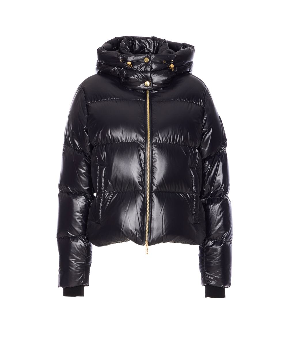 Moose Knuckles Coats
