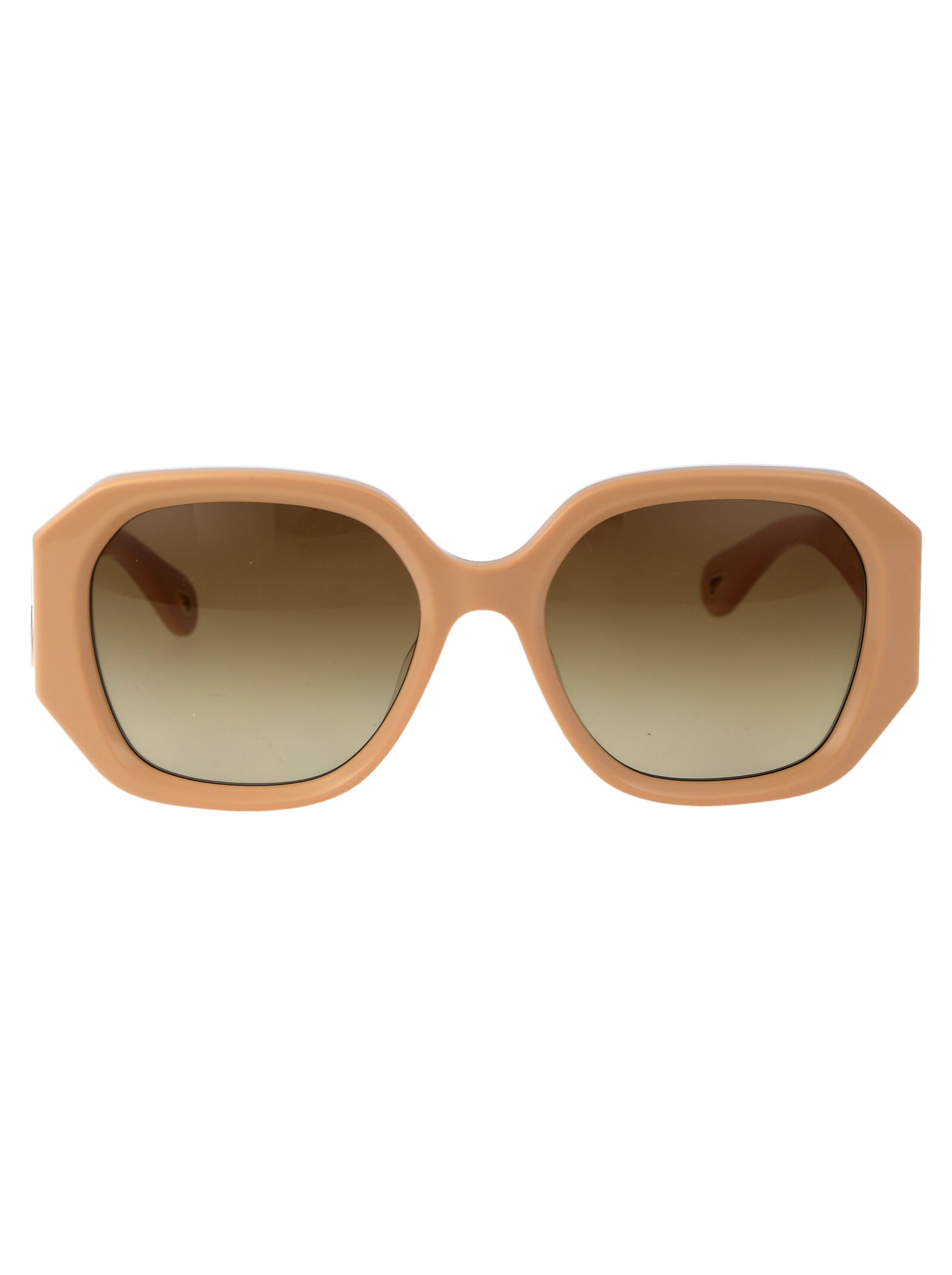 Chloé Eyewear Ch0236s Sunglasses