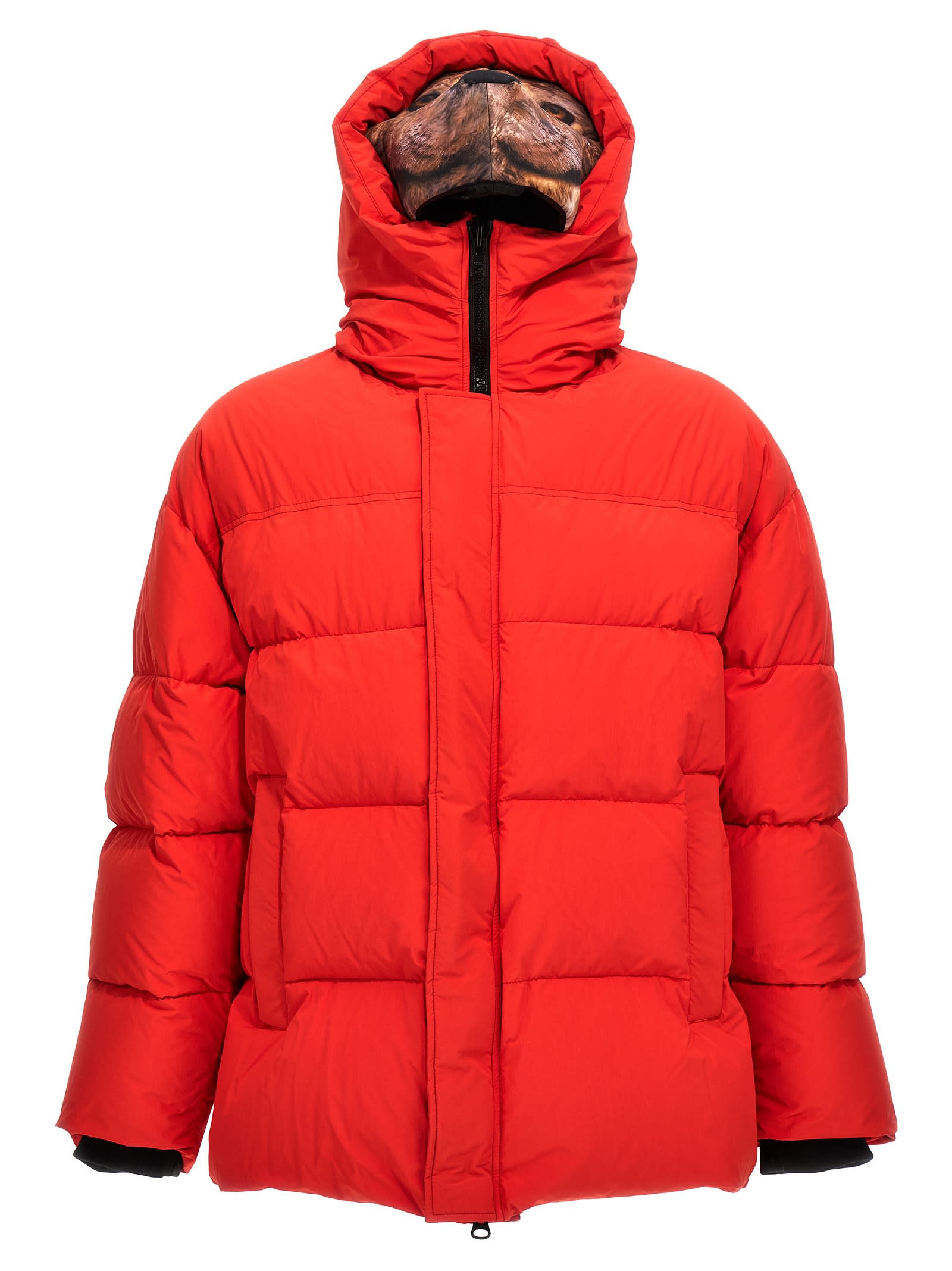 doublet animal Trim Down Jacket