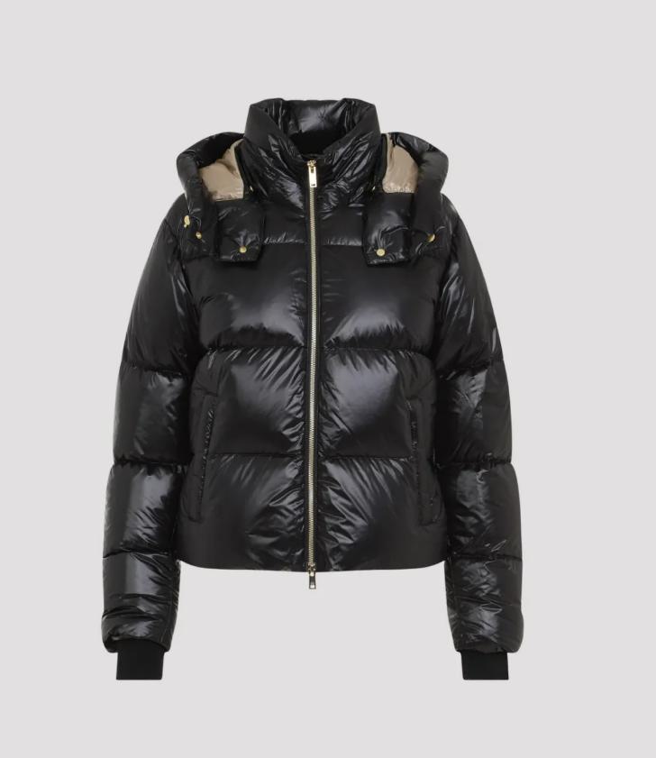 Moose Knuckles Jackets