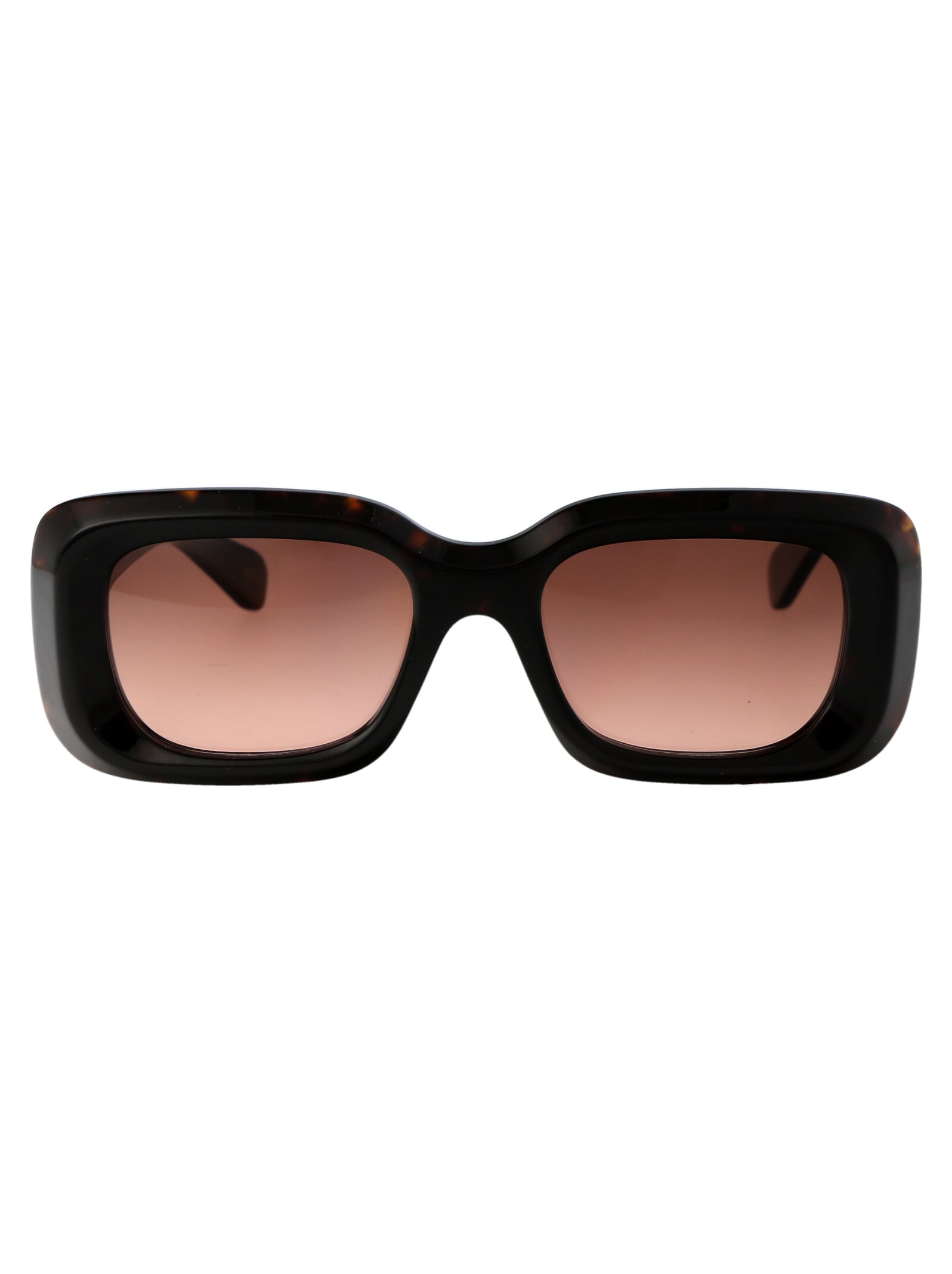 Chloé Eyewear Ch0188s Sunglasses