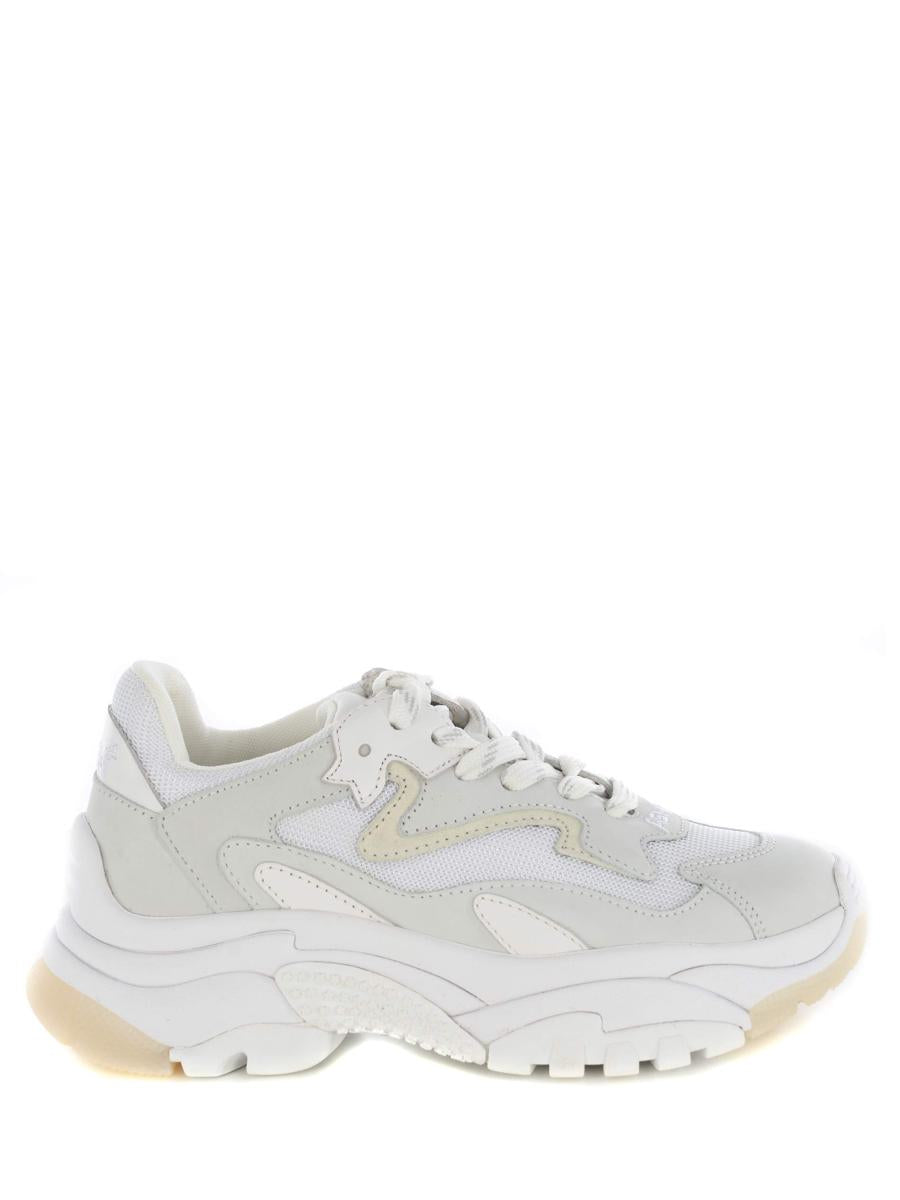 Ash Sneakers