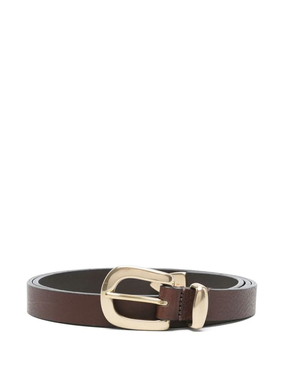 Sunflower Belt