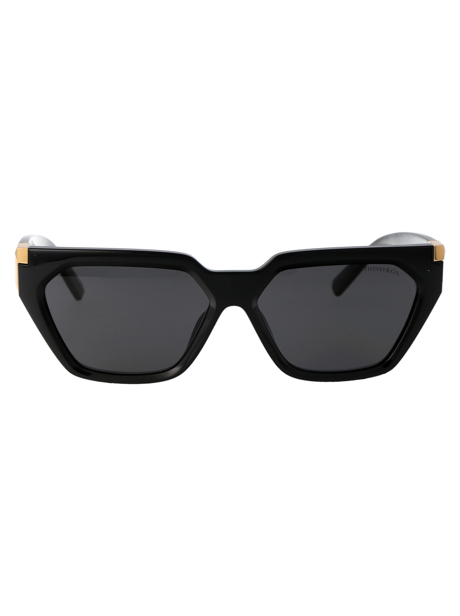 Tiffany & Co. 0tf4205u Sunglasses
