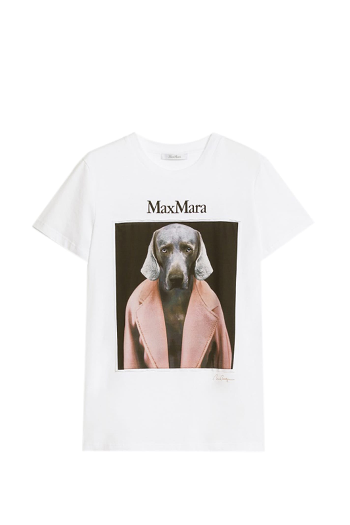 Max Mara White Cotton Cipria T-shirt