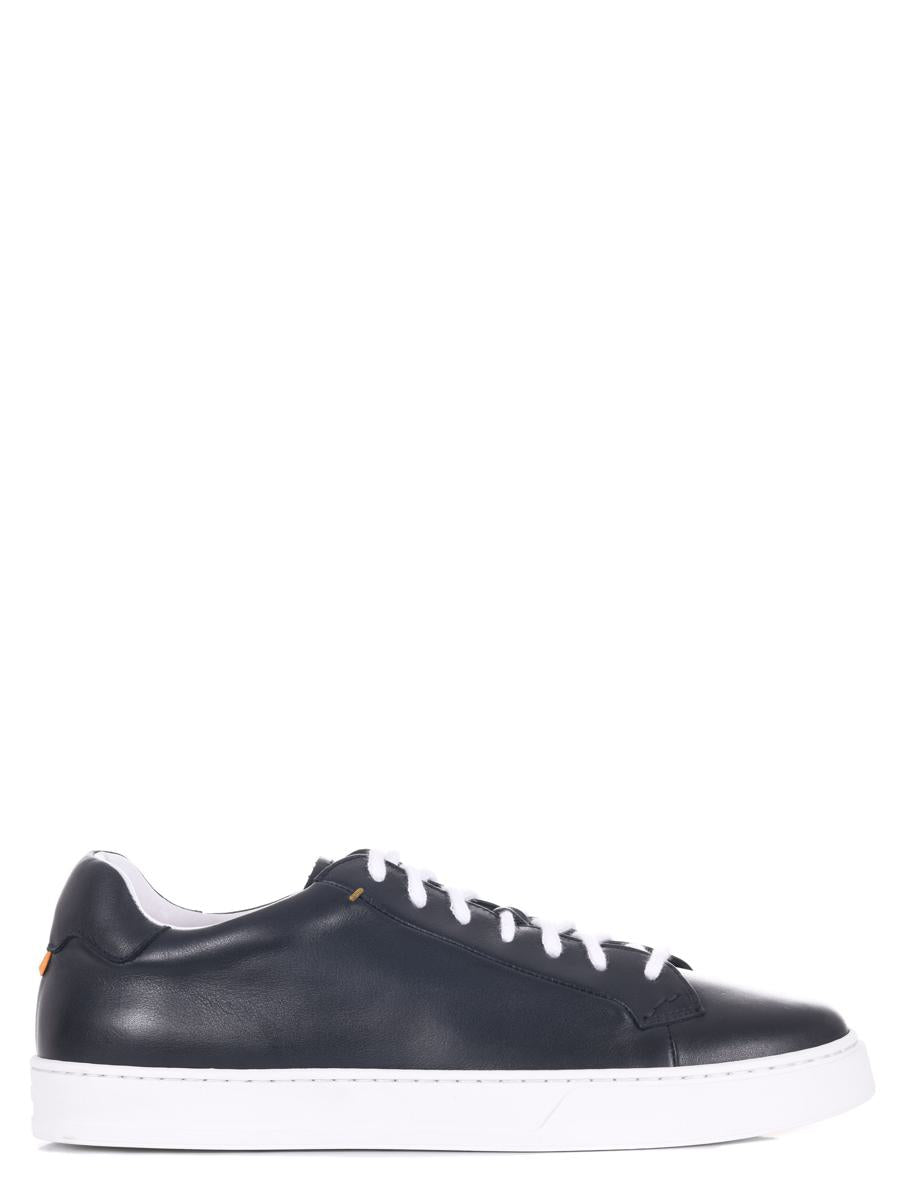 Doucal's Sneakers