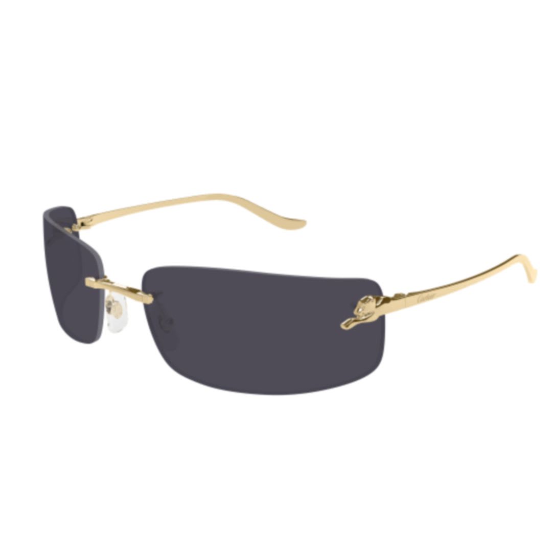 Cartier Eyewear Ct0503s-001 Gold-gold-grey