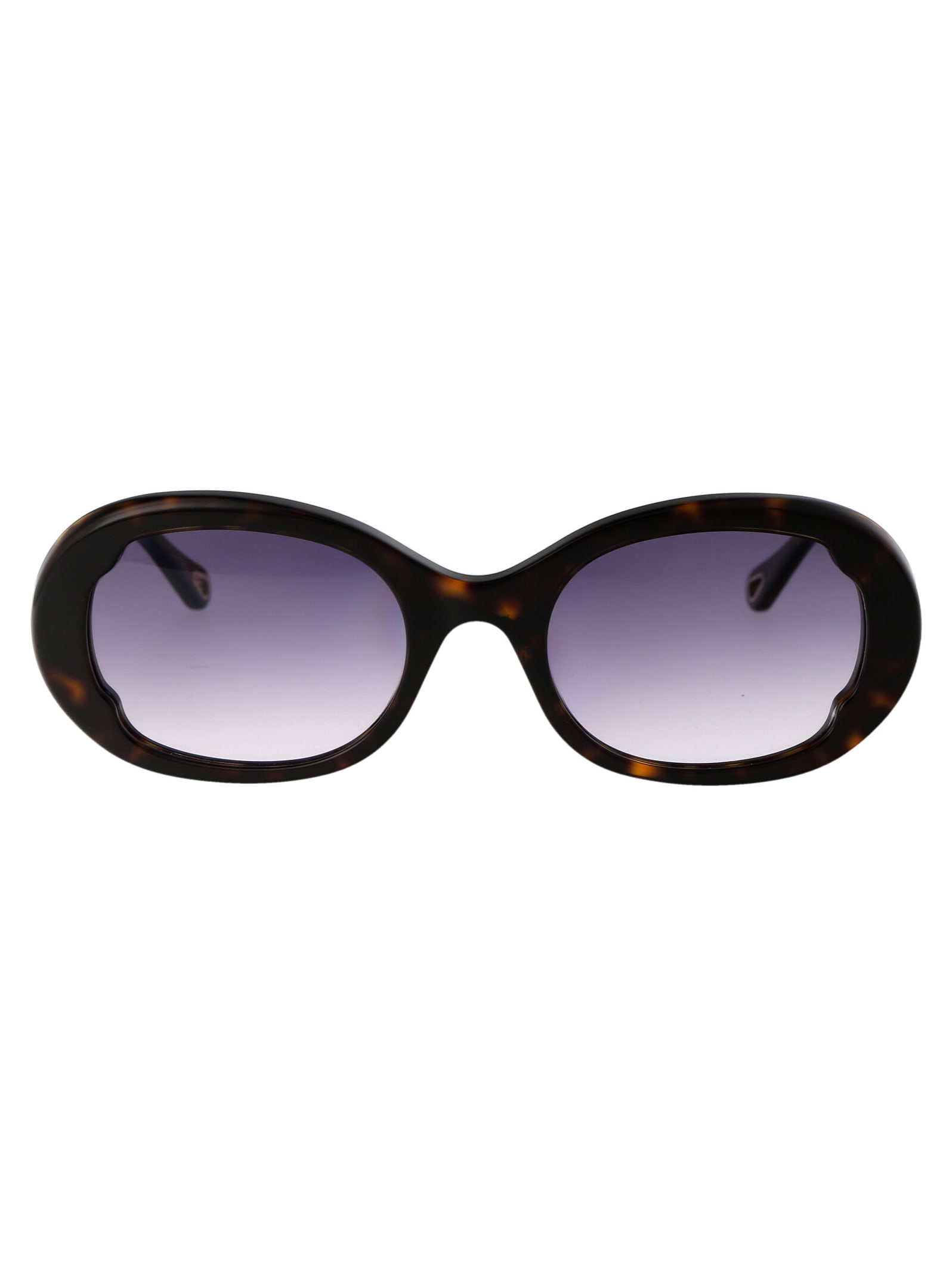 Chloé Eyewear Ch0197s Sunglasses