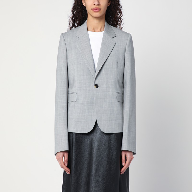 Light gray single-breasted jacket in wool