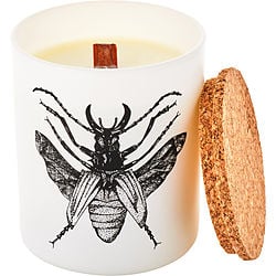 Dorysthenes Walkeri by Vila Hermanos SCENTED CANDLE 6.7 OZ for UNISEX