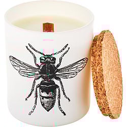 Calabrone by Vila Hermanos SCENTED CANDLE 6.7 OZ for UNISEX