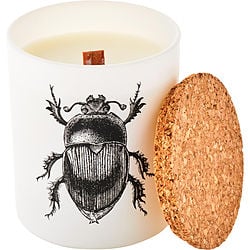Scarabeus Sacer by Vila Hermanos SCENTED CANDLE 6.7 OZ for UNISEX