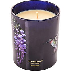 Vh Hummingbird by Vila Hermanos SCENTED CANDLE 7 OZ for UNISEX