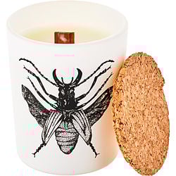 Dorysthenes Walkeri by Vila Hermanos SCENTED CANDLE 2.64 OZ for UNISEX