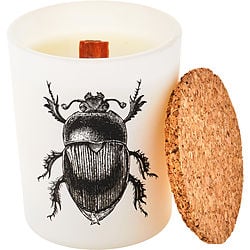 Scarabeus Sacer by Vila Hermanos SCENTED CANDLE 2.64 OZ for UNISEX