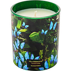 Vh Blue Butterfly by Vila Hermanos SCENTED CANDLE 7 OZ for UNISEX