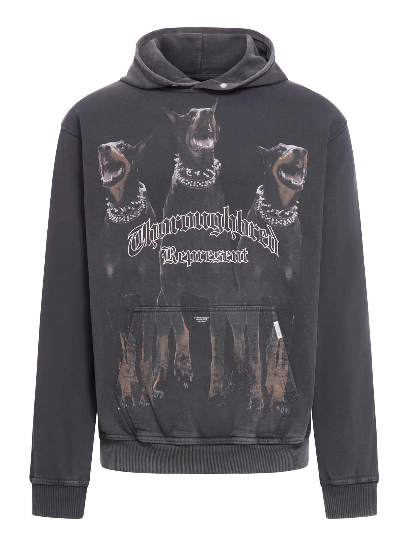 Hoodie - Represent - Man