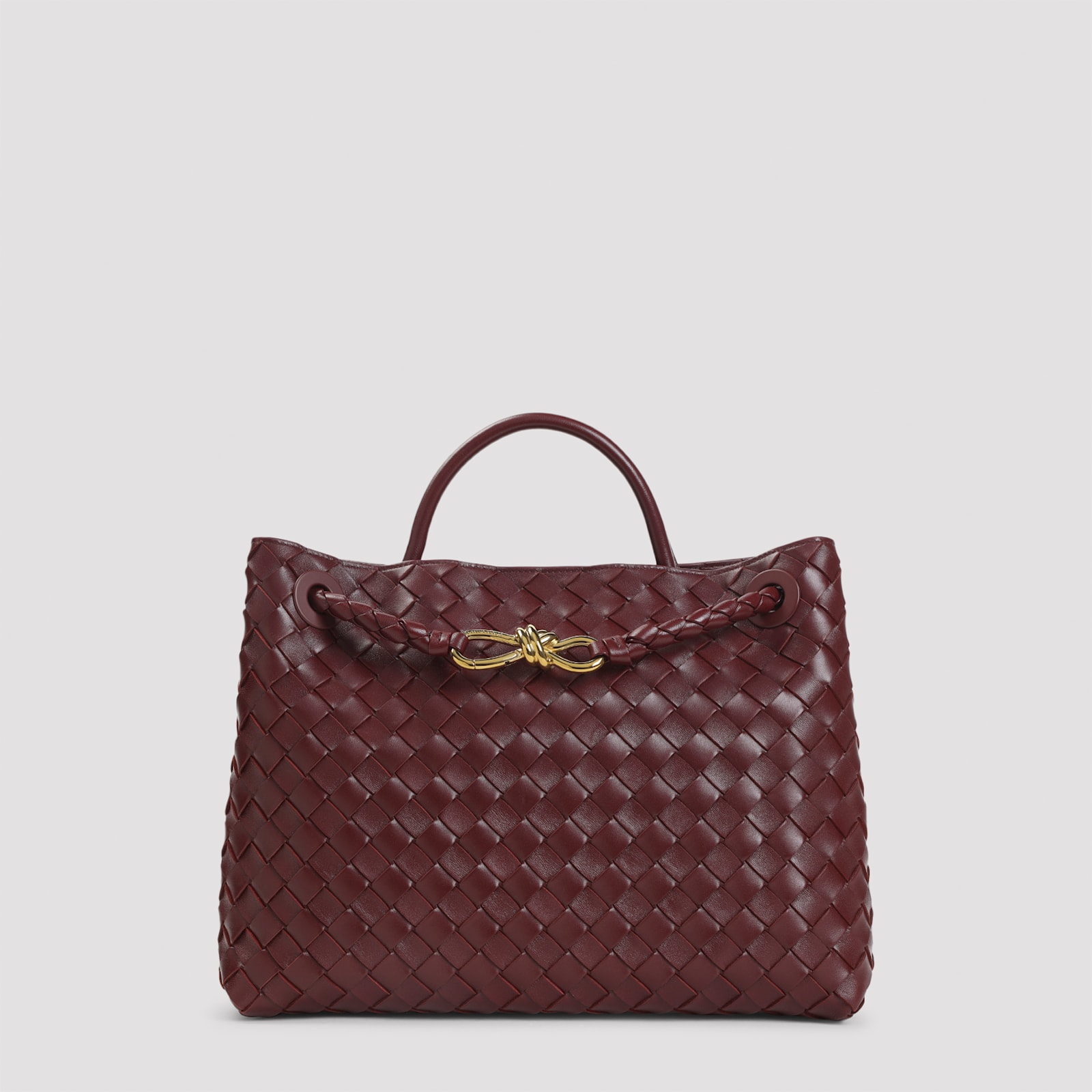 Bottega Veneta Andiamo Medium Bag