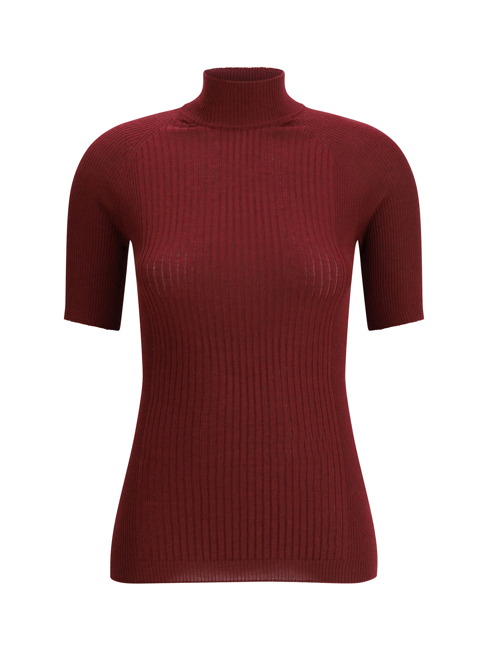 Sa Su Phi Ribbed Knit Top